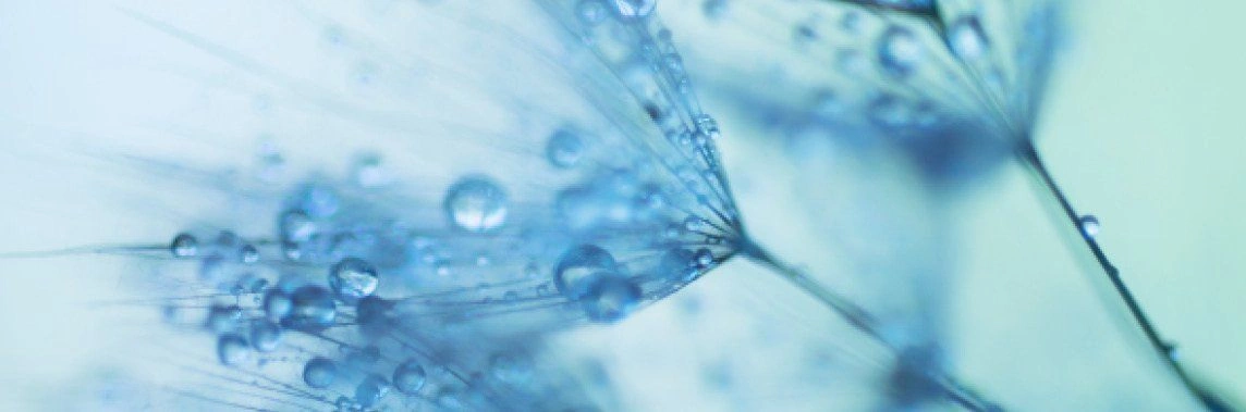 Корпорация Medical On Group сегодня