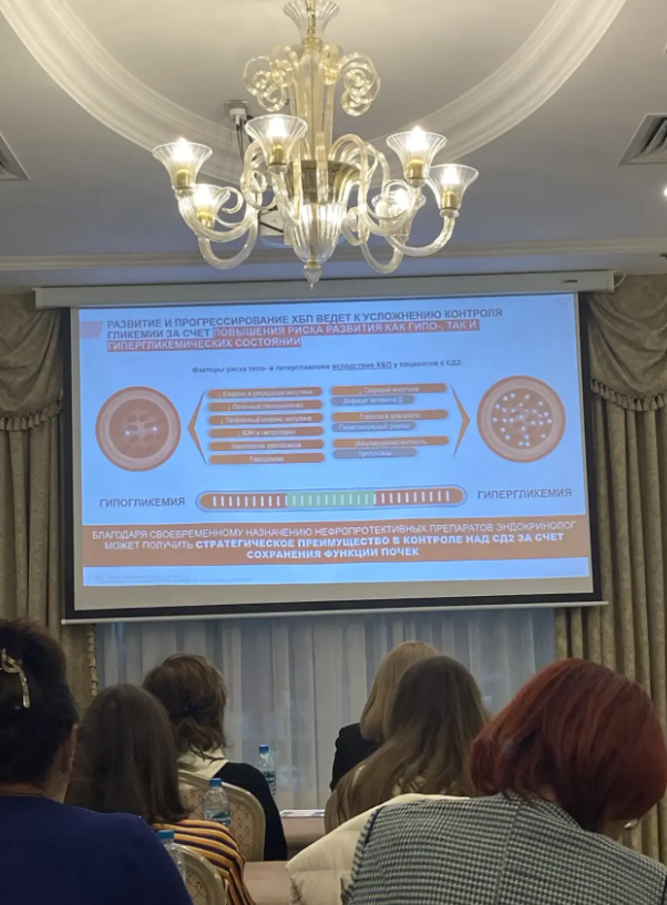 Димитриу София Акоповна на Интерактивном круглом столе «Симфония кардиоренальной защиты» Димитриу София Акоповна на Интерактивном круглом столе «Симфония кардиоренальной защиты»